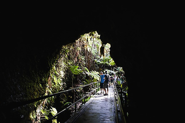 포토 JPG 주간 나무 식물 해외풍경 해외 길 여행 사람 풍경 여러명 야외 울타리 여행객 트래킹 동굴 열대우림 열대식물 하와이 남태평양 용암동굴 국내포토 자연요소 다수 레저 담장 미국 숲 태평양 파일형식