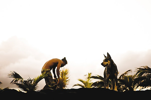 포토 JPG 주간 나무 식물 동물 한마리 해외풍경 해외 남자 자연 한명 사람 풍경 해변 야외 아웃포커스 개 하와이 남태평양 남자만 남자한명만 국내포토 자연요소 1 바다 포유류 촬영기법 미국 생태계 태평양 파일형식