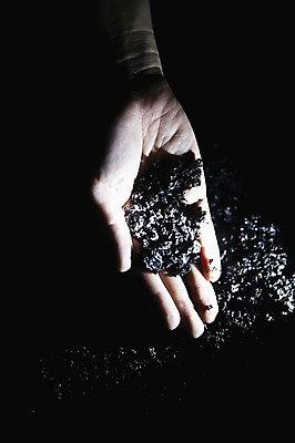 포토 JPG 해외 손 백그라운드 손바닥 들기 신체부위 하이앵글 하와이 용암 덩어리 국내포토 뷰포인트 모션 사람 미국 파일형식