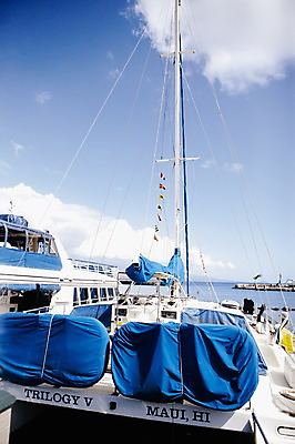 포토 JPG 주간 구름 해외풍경 해외 바다 수상교통 요트 하늘 풍경 사람없음 야외 맑음 정박 하와이 범선 남태평양 선박 국내포토 자연요소 교통수단 배_교통 날씨 미국 태평양 파일형식