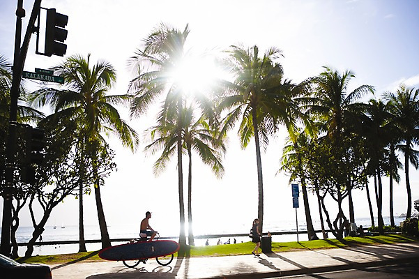 포토 JPG 주간 전신 나무 식물 해외풍경 해외 도로 길 스포츠 바다 백그라운드 자연 레저 거리 서기 사람 앉기 풍경 여러명 야외 라이프 생활 옆모습 야자수 햇빛 태양 반사 자전거 장비 수상스포츠 표지판 서핑보드 서핑 신호등 휴양지 하와이 남태평양 국내포토 자연요소 뷰포인트 다수 교통시설 모션 알림판 바이크 미국 장소 보드_스포츠 생태계 태평양 파일형식