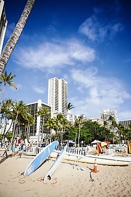 포토 JPG 주간 나무 식물 해외풍경 해외 건축물 건축 스포츠 백그라운드 자연 레저 사람 풍경 여러명 해변 야외 건물 여름휴가 바캉스 모래사장 야자수 장비 수상스포츠 서핑보드 서핑 휴양지 하와이 남태평양 국내포토 자연요소 바다 다수 휴가 미국 장소 보드_스포츠 생태계 태평양 파일형식 여름_계절