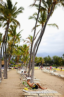 포토 JPG 주간 전신 나무 식물 해외풍경 해외 백그라운드 의자 자연 휴가 휴식 사람 앉기 풍경 여러명 야외 옆모습 모래사장 야자수 휴양지 선베드 하와이 남태평양 국내포토 자연요소 바다 뷰포인트 가구 다수 컨셉 모션 미국 장소 생태계 태평양 파일형식