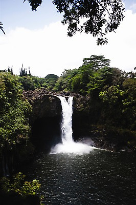 포토 JPG 주간 나무 식물 해외풍경 해외 백그라운드 자연 물줄기 풍경 사람없음 야외 폭포 돌_바위 바위 휴양지 하와이 국내포토 자연요소 물 미국 장소 생태계 파일형식