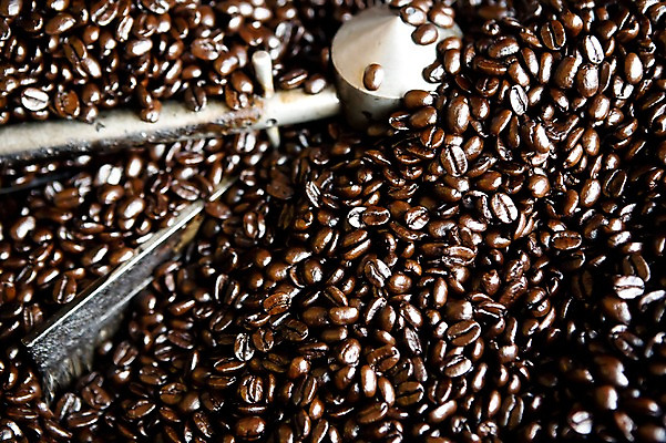 포토 JPG 식물 열매 커피 다수 백그라운드 사람없음 갈색 여러개 기계 원두 로스팅 국내포토 음료 컬러 파일형식