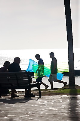 포토 JPG 주간 전신 나무 식물 해외풍경 해외 실루엣 바다 백그라운드 벤치 의자 자연 서기 들기 사람 앉기 풍경 여러명 야외 옆모습 뒷모습 서핑 휴양지 하와이 남태평양 튜브 국내포토 자연요소 뷰포인트 가구 다수 모션 촬영기법 미국 장소 수상스포츠 생태계 태평양 파일형식