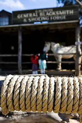 포토 JPG 주간 동물 해외풍경 해외 밧줄 사람 풍경 야외 뒷모습 아웃포커스 끈 말_동물 호주 멜버른 소버린힐 국내포토 자연요소 줄 뷰포인트 포유류 촬영기법 오세아니아 파일형식