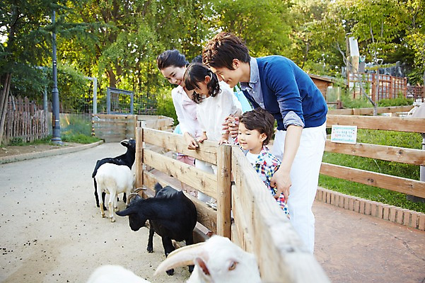 포토 JPG 주간 나무 식물 동물 라이프스타일 여자 남자 딸 아들 어린이 가족 엄마 염소 동물원 서기 미소 웃음 사람 동양인 소녀 소년 여러명 성인 야외 옆모습 30대 울타리 부모 소풍 한국인 자녀 아빠 구경 흑염소 국내포토 자연요소 뷰포인트 다수 포유류 관계 모션 표정 인종 생활 장년 담장 야외활동 파일형식