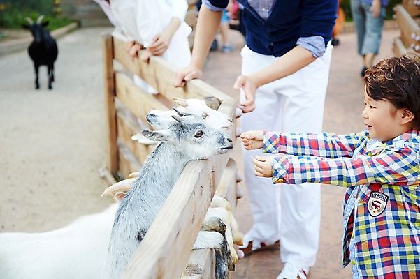 포토 JPG 주간 동물 라이프스타일 남자 아들 어린이 가족 염소 동물원 사람 동양인 소년 여러명 상반신 야외 옆모습 아웃포커스 울타리 부모 소풍 한국인 자녀 아빠 먹이 구경 흑염소 남자만 국내포토 자연요소 뷰포인트 다수 포유류 관계 촬영기법 인종 생활 담장 야외활동 파일형식
