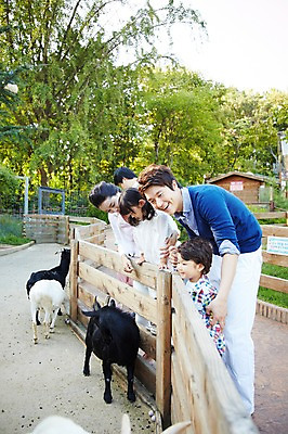 포토 JPG 주간 나무 식물 동물 라이프스타일 여자 남자 딸 아들 어린이 가족 엄마 염소 동물원 서기 미소 웃음 사람 동양인 소녀 소년 여러명 성인 야외 옆모습 30대 울타리 부모 소풍 한국인 자녀 아빠 구경 흑염소 국내포토 자연요소 뷰포인트 다수 포유류 관계 모션 표정 인종 생활 장년 담장 야외활동 파일형식
