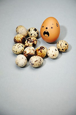 포토 JPG 스튜디오촬영 음식 백그라운드 컨셉 재료 실내 표정 미소 웃음 사람없음 계란 알 놀람 메추리알 메추리 국내포토 감정 내부 파일형식