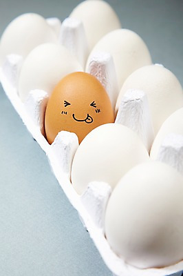 포토 JPG 스튜디오촬영 음식 백그라운드 컨셉 재료 실내 표정 미소 웃음 사람없음 계란 알 판 국내포토 내부 파일형식