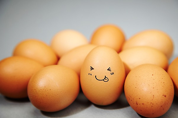 포토 JPG 스튜디오촬영 음식 백그라운드 컨셉 재료 실내 표정 미소 웃음 근접촬영 사람없음 아웃포커스 계란 알 국내포토 뷰포인트 촬영기법 내부 파일형식