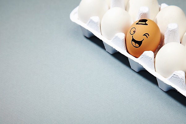 포토 JPG 스튜디오촬영 음식 백그라운드 컨셉 재료 실내 표정 윙크 미소 웃음 사람없음 계란 알 판 국내포토 내부 파일형식