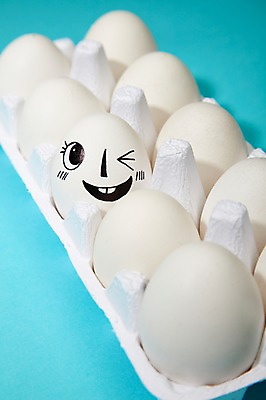 포토 JPG 스튜디오촬영 음식 백그라운드 컨셉 재료 실내 표정 윙크 미소 웃음 사람없음 계란 알 판 국내포토 내부 파일형식