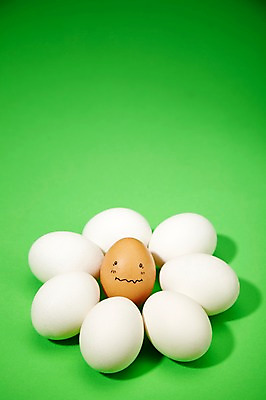 포토 JPG 스튜디오촬영 음식 백그라운드 컨셉 재료 실내 표정 사람없음 계란 알 놀람 황당 국내포토 감정 내부 파일형식