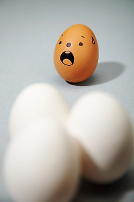 포토 JPG 스튜디오촬영 음식 백그라운드 컨셉 재료 실내 표정 근접촬영 사람없음 아웃포커스 계란 알 놀람 황당 국내포토 감정 뷰포인트 촬영기법 내부 파일형식