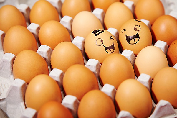 포토 JPG 스튜디오촬영 음식 백그라운드 컨셉 재료 실내 표정 윙크 미소 웃음 사람없음 계란 알 여러개 판 국내포토 다수 내부 파일형식