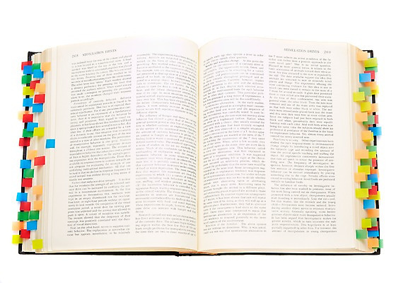 포토 JPG 스튜디오촬영 문자 영어 교육 백그라운드 교재 실내 사람없음 책 펼침 오브젝트 사전 영어사전 국내포토 모션 내부 파일형식