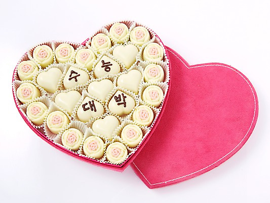 포토 JPG 스튜디오촬영 꽃 백그라운드 응원 디저트 실내 통 선물 사람없음 상자 초콜릿 수능 시험 기도 하트 오브젝트 합격 대박 국내포토 모양 식물 교육 음식 내부 파일형식