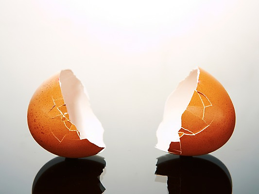 포토 JPG 스튜디오촬영 백그라운드 실내 사람없음 계란 손상 껍질 계란껍데기 반쪽 국내포토 컨셉 내부 알 파일형식