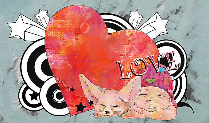 PSD 동물 배너 별 백그라운드 일러스트 포유류 안내 프레임 사랑 틀 한명 사람 눕기 하트 아기 잠 빈티지 알림 퓨전 팝아트 하트백그라운드 사막여우 아기만 국내일러스트 자연요소 모양 1 감정 컨셉 모션 그림 여우 파일형식