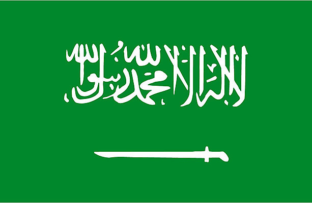 EPS 아시아 상징 일러스트 중동 사람없음 국기 대표 사우디아라비아 국내일러스트 나라 파일형식 벡터