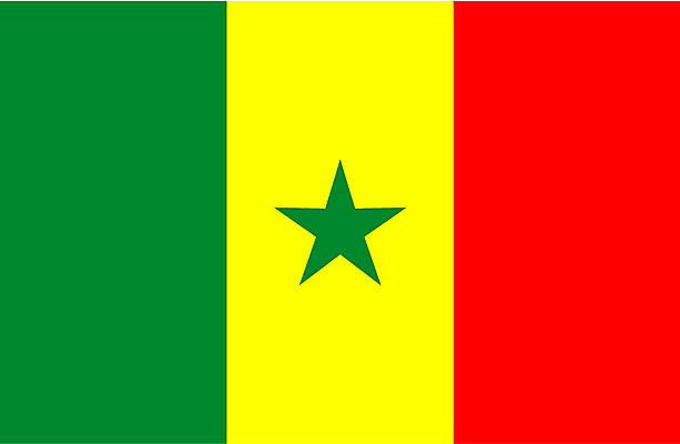 EPS 상징 일러스트 아프리카 사람없음 국기 대표 세네갈 국내일러스트 나라 파일형식 벡터