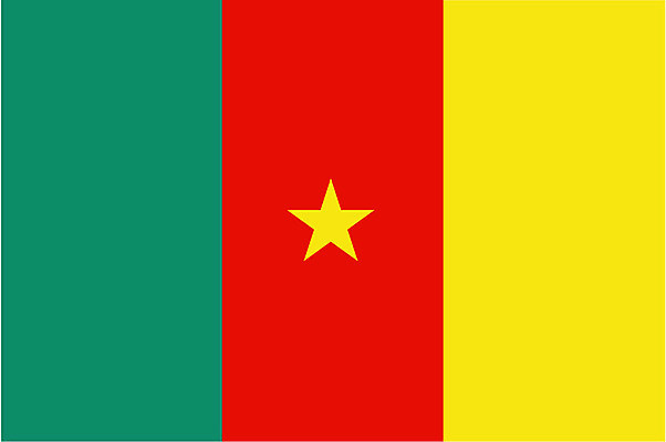 EPS 상징 일러스트 아프리카 사람없음 국기 대표 카메룬 국내일러스트 나라 파일형식 벡터