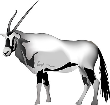 EPS 동물 척추동물 한마리 육지동물 일러스트 포유류 염소 뿔 사람없음 염소뿔 국내일러스트 1 파일형식 벡터