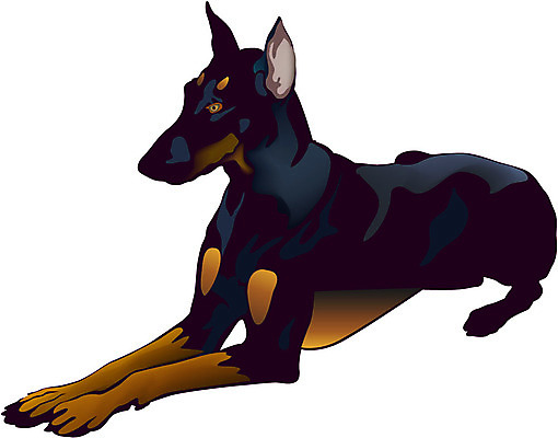 EPS 동물 척추동물 한마리 육지동물 컬러 일러스트 포유류 사람없음 검은색 강아지 반려 도베르만핀셔 국내일러스트 1 반려동물 개 파일형식 벡터 핀셔