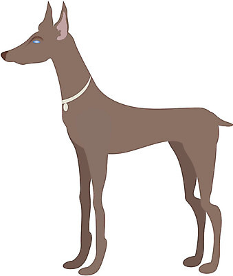 EPS 동물 척추동물 육지동물 일러스트 포유류 사람없음 강아지 반려 도베르만핀셔 국내일러스트 반려동물 개 파일형식 벡터 핀셔