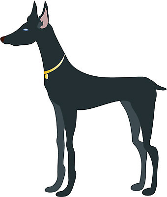 EPS 동물 척추동물 육지동물 일러스트 포유류 사람없음 강아지 반려 도베르만핀셔 국내일러스트 반려동물 개 파일형식 벡터 핀셔