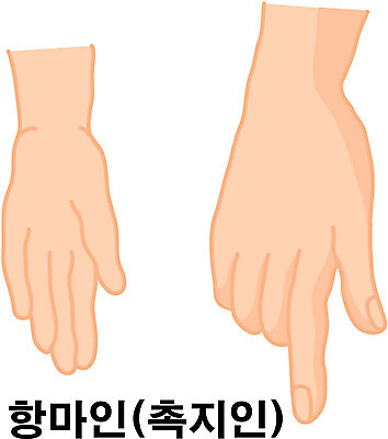 EPS 클립아트 문자 손 문화 예술 일러스트 손짓 한글 신체부위 기 기운 무도 항마촉지인 국내일러스트 스포츠 불교 모션 사람 파일형식 벡터