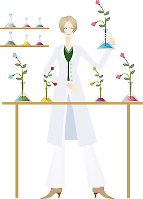 EPS 직업 여자 꽃 일러스트 실험 한명 사람 20대 성인 실험실 연구원 짝짓기 식물학자 여자만 여자한명만 성인여자만 청년만 청년여자만 성인한명만 청년여자한명만 성인여자한명만 성인만 국내일러스트 식물 1 청년 파일형식 벡터