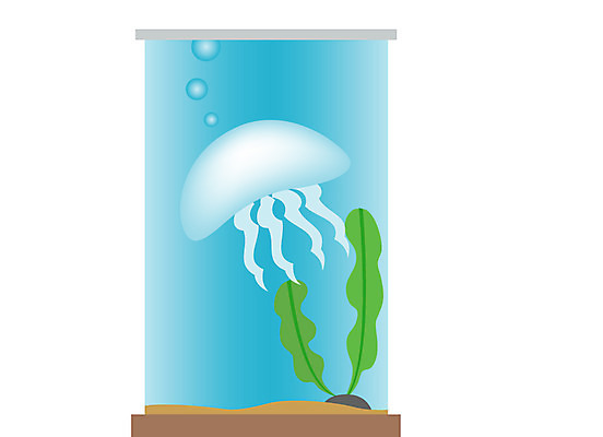 EPS 클립아트 동물 바다 일러스트 사람없음 바다동물 자포동물 수족관 해파리 메두사 국내일러스트 수중동물 파일형식 벡터