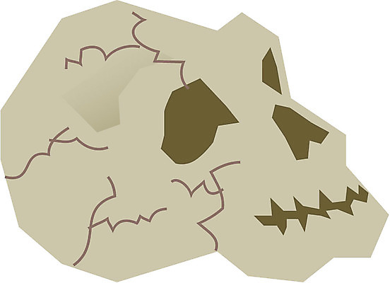 EPS 클립아트 신체 일러스트 뼈 해골 사람없음 장기 근골격기관 두골 국내일러스트 장기_의학 파일형식 벡터