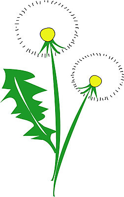EPS 클립아트 식물 꽃 화초 일러스트 씨앗 사람없음 민들레 두송이 꽃씨 국내일러스트 2 파일형식 벡터
