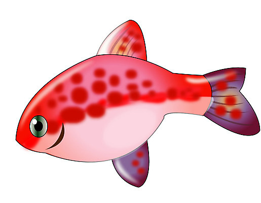 EPS 클립아트 동물 척추동물 한마리 일러스트 관상어 어류 사람없음 알비노 국내일러스트 1 수중동물 파일형식 벡터