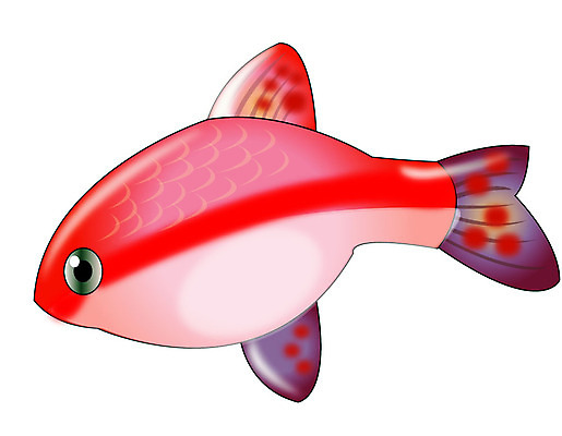 EPS 클립아트 동물 척추동물 한마리 일러스트 관상어 어류 사람없음 알비노 국내일러스트 1 수중동물 파일형식 벡터