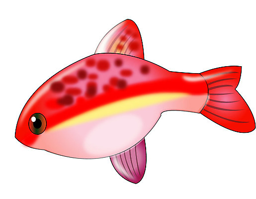 EPS 클립아트 동물 척추동물 한마리 일러스트 관상어 어류 사람없음 알비노 국내일러스트 1 수중동물 파일형식 벡터