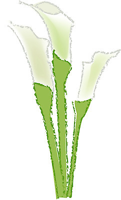 EPS 클립아트 식물 꽃잎 꽃 화초 줄기 컬러 여러송이 잎 일러스트 여름꽃 자연 초록색 장미 흰색 카라 칼라꽃 국내일러스트 다수 생태계 파일형식 벡터 여름_계절