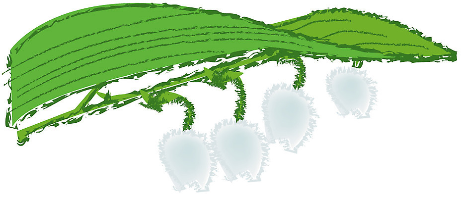 EPS 클립아트 식물 꽃잎 꽃 화초 줄기 여러송이 잎 일러스트 초록색 금낭화 방울꽃 국내일러스트 컬러 다수 파일형식 벡터