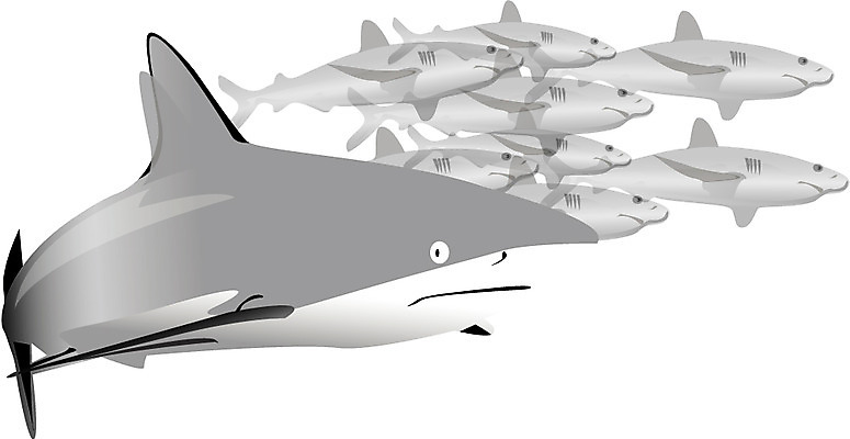 EPS 클립아트 동물 척추동물 여러마리 일러스트 어류 사람없음 상어 백상어 악상어목 국내일러스트 다수 수중동물 파일형식 벡터