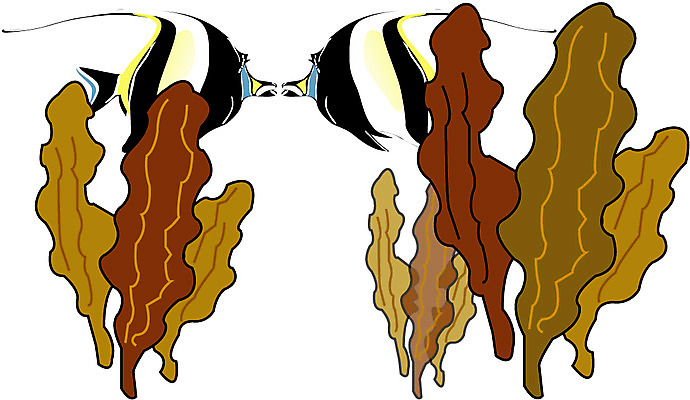 EPS 클립아트 식물 두마리 일러스트 조류 관상어 어류 사람없음 해조류 해양식물 열대어 미역 곰피 국내일러스트 동물 2 수중동물 수중식물 파일형식 벡터