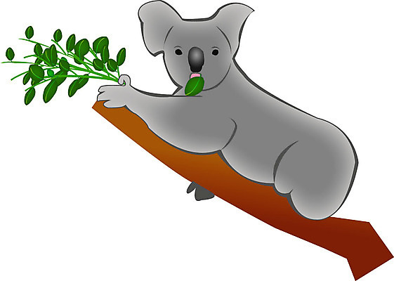 EPS 클립아트 동물 척추동물 육지동물 야생동물 일러스트 포유류 사람없음 호주 코알라 유칼리나무 국내일러스트 나무 오세아니아 파일형식 벡터