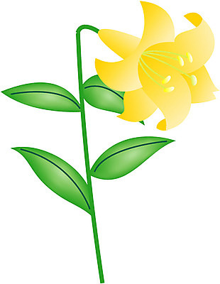 EPS 클립아트 식물 꽃잎 꽃 화초 줄기 잎 일러스트 여름꽃 사람없음 초록색 노란색 백합 순수 나리 국내일러스트 컬러 컨셉 파일형식 벡터 여름_계절