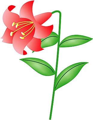 EPS 클립아트 식물 꽃잎 꽃 화초 줄기 잎 일러스트 여름꽃 사람없음 빨간색 초록색 노란색 백합 순수 나리 국내일러스트 컬러 컨셉 파일형식 벡터 여름_계절