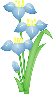 EPS 클립아트 식물 꽃잎 꽃 화초 줄기 하늘색 잎 일러스트 사람없음 초록색 노란색 아이리스 붓꽃 수창포 창포 국내일러스트 컬러 파란색 파일형식 벡터