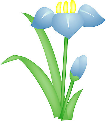 EPS 클립아트 식물 꽃잎 꽃 화초 줄기 하늘색 잎 한송이 일러스트 사람없음 초록색 노란색 아이리스 붓꽃 수창포 창포 국내일러스트 1 컬러 파란색 송이 파일형식 벡터